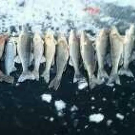 Ferienhaus Korpilahti By Interhome *