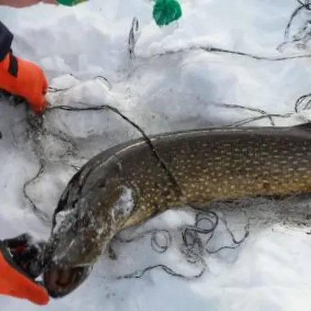 Ferienhaus Korpilahti By Interhome *